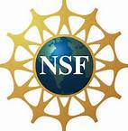 NSF Seal