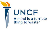 UNCF A Mind is a Terrible Thing to Waste