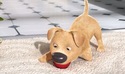 dog with ball 