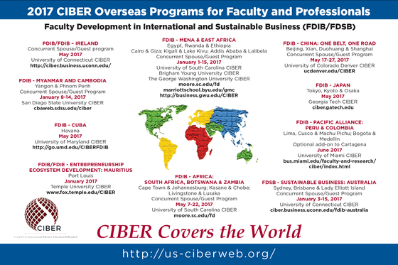 CIBER Faculty Development in International Business Programs