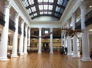 Alabama museum of natural history 