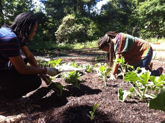 Students Garden at Montclair Historical Society