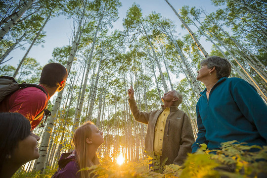 CMC students and faculty explore aspen grove