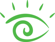 Visual Language and Visual Learning (VL2) logo, eye