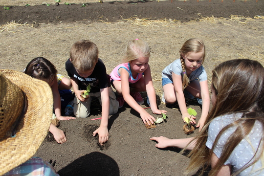 Weyerhauser Elementary Planting