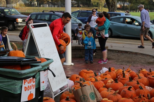 Students at Arlington Public Schools’ Brackett Elementary School gather pumpkins after Halloween