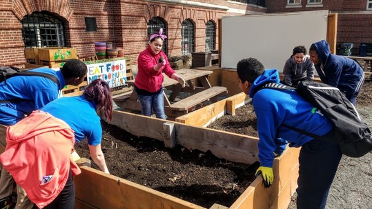 Gardening at Boston Green Academy