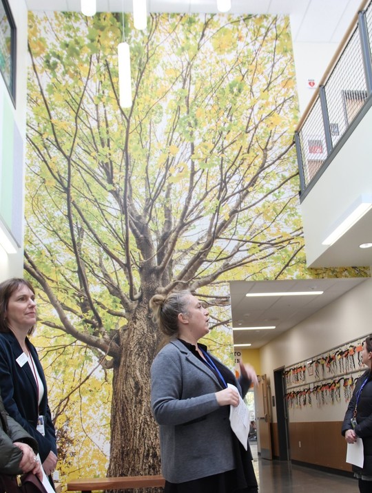Peter Kirk Elementary School interior decorating pays tribute to felled tree.