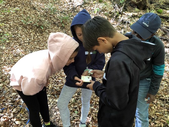 Fifth graders at Lincoln Heights Environmental Magnet School conduct soil testing