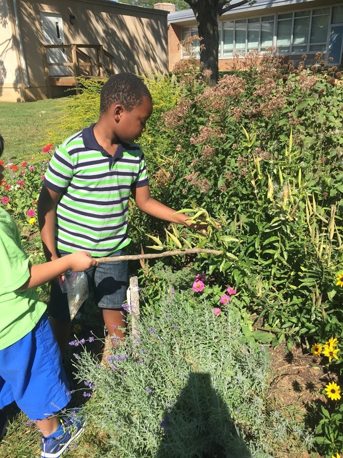 Wellwood International School student built butterfly garden