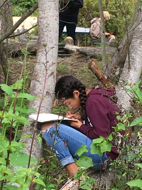 Carmel Unified School District nature journaling