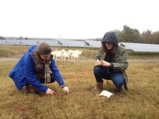 Furman University solar farm research
