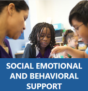 Social and Emotional Support Picture