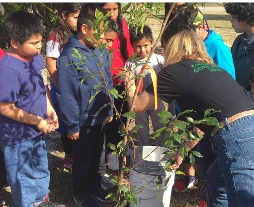 Highland Elementary Willow Planting
