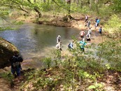West Kentucky Community and Technical College students hike in Shawnee National Forest