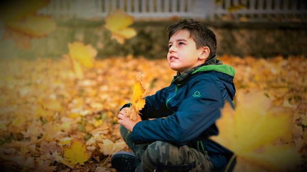 Boy pondering fall leaves. Photo by Alexandr Podvalny from Pexels