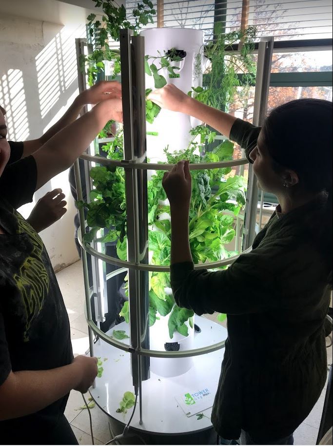 Scarsdale Middle School Hydroponic Garden Tower