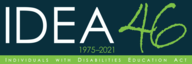 IDEA 46th Anniversary Logo