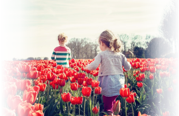 Children playing in a field of tulips
