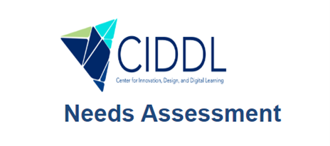 CIDDL needs assessment