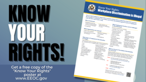 Know Your Rights Poster