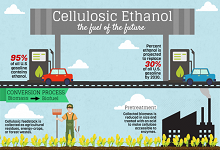 Cellulosic Ethanol: The Fuel of the Future