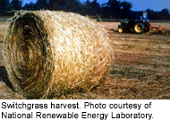 Switchgrass harvest. Photo courtesy of National Renewable Energy Laboratory. 