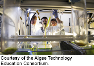 Algae Technology Education Consortium (ATEC)