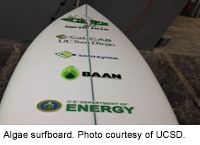 Algae surfboard