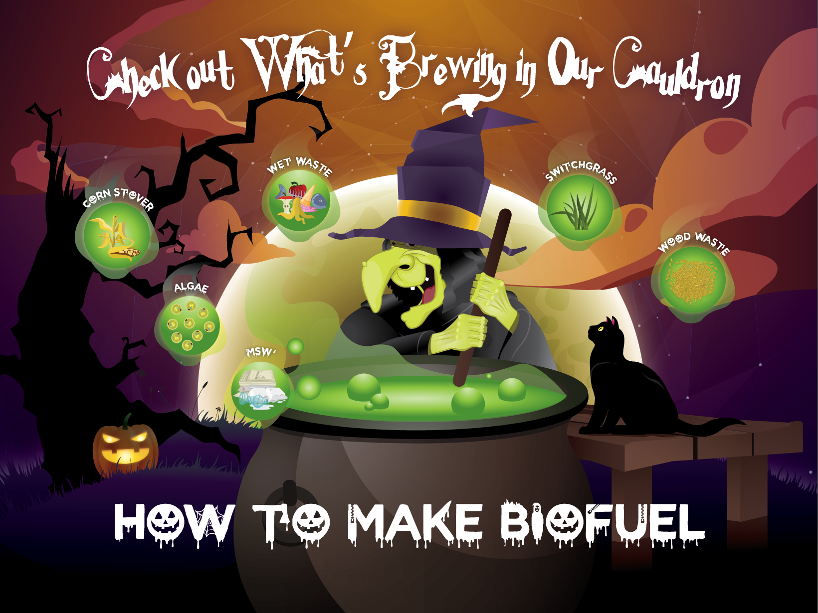 BETO Halloween Blog