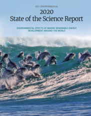 Front cover of the OES-Environmental 2020 State of the Science Report.