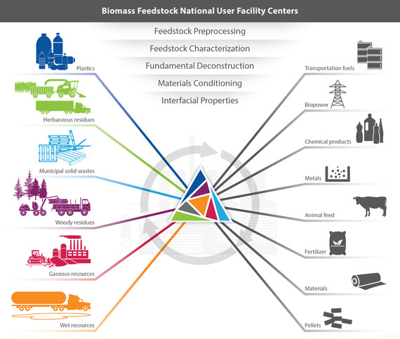 biomass facilities diagram