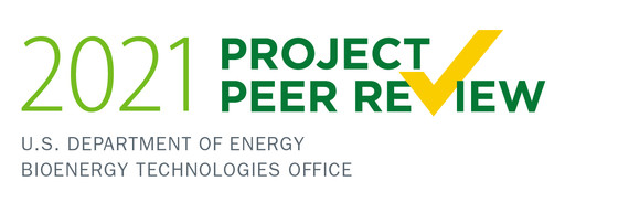 2021 Peer Review Logo