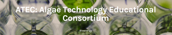 Algae Technology Education Consortium 