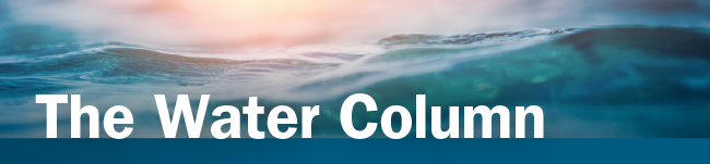 Banner announcing the newsletter name "The Water Column" with an image of the ocean at sunset behind it.