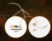 Tiny batteries by PNNL.