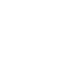Icon illustrating Land-Based Wind.