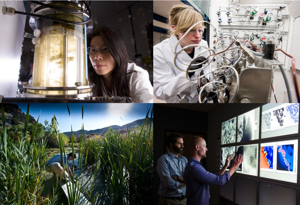 Bioenergy Researchers Collage