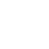 Icon for land-based wind.