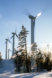 Wind turbines in the snow.