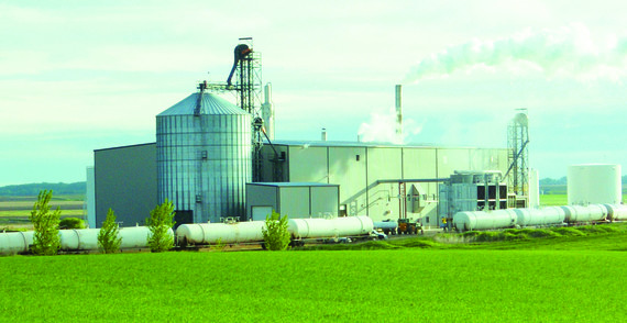 Image of a processing plant in background with field of crops in the foreground. 