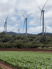 Several wind turbines in the background of green hills and crops.