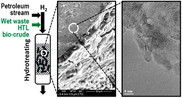 Impact of Coprocessing Biocrude with Petroleum Stream on Hydrotreating Catalyst Stability
