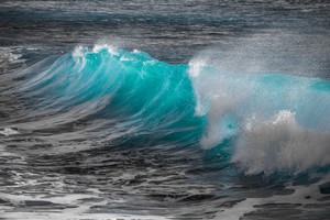 A cresting ocean wave