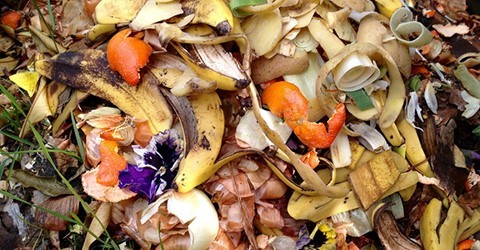 Waste-to-energy food waste image