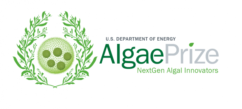 AlgaePrize Logo