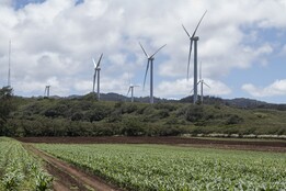 Wind turbines in the mountains with agriculture in the foreground.