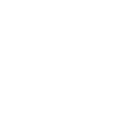 An illustration of a wind turbine and birds.