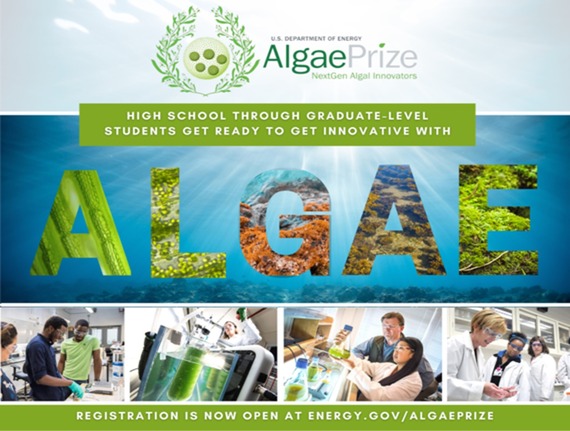 AlgaePrize competition image