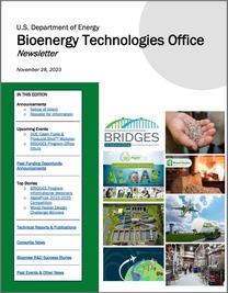 Bordered newsletter image